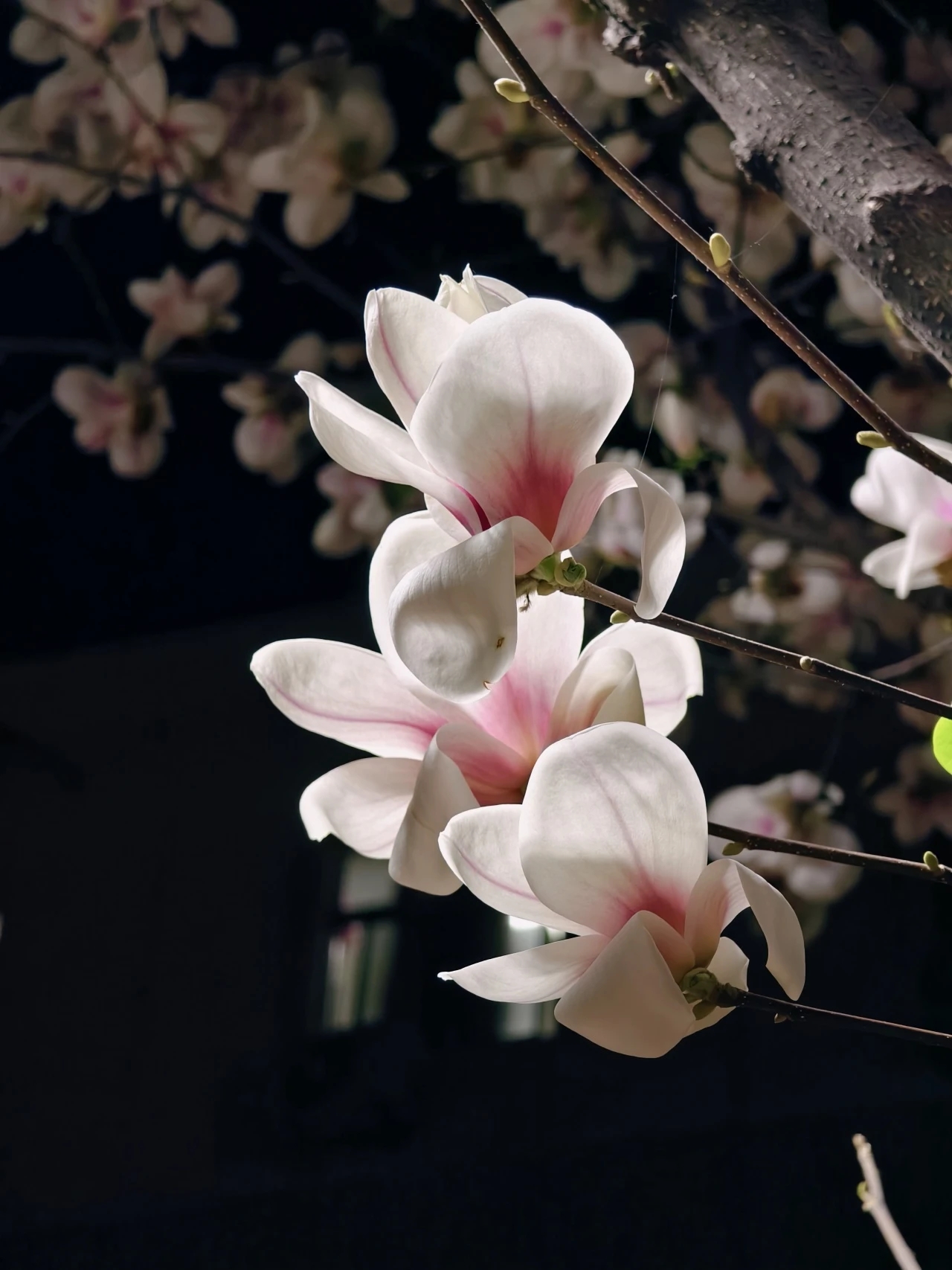 “春满陕财”大学生摄影大赛优秀作品展